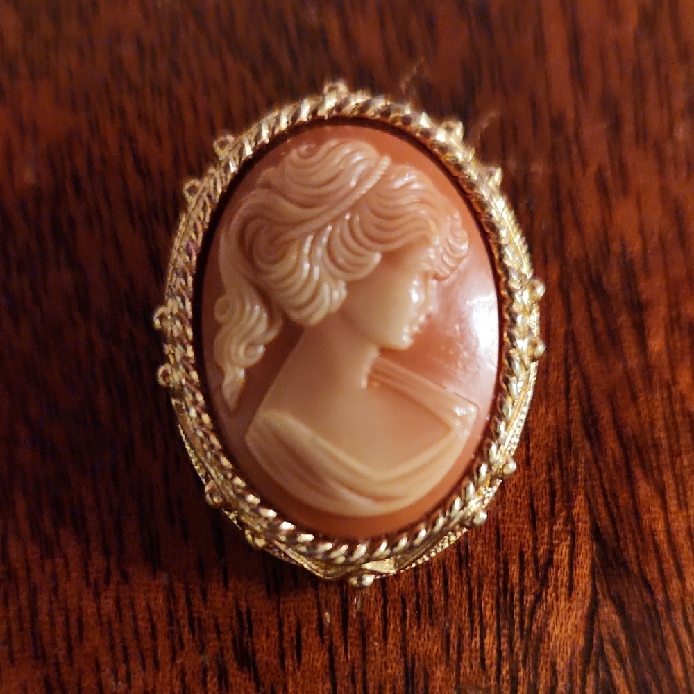 Vintage Sarah Cov Gold and Tan Cameo Brooch